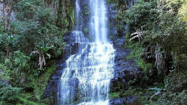 Single Tag bridal veil falls