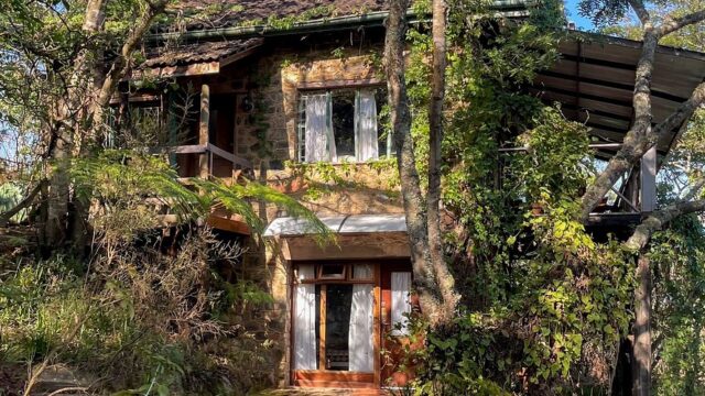 Single Tag frog and fern cottages