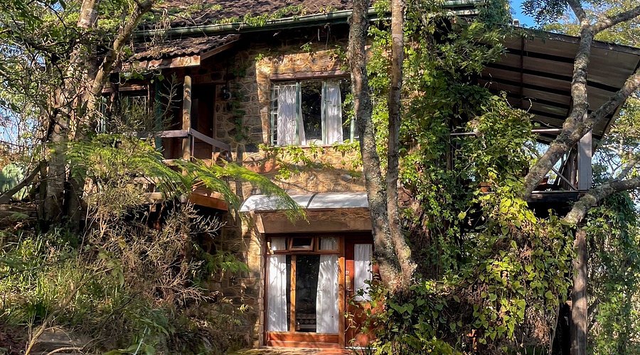 frog and fern cottages