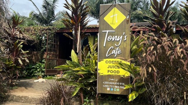 Single Category tony’s cafe