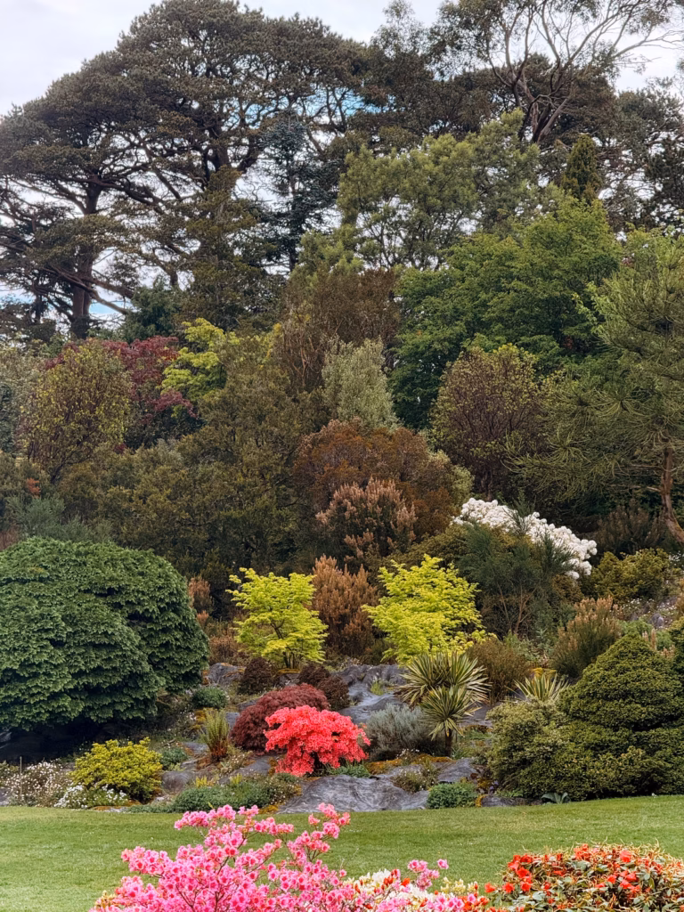 vumba botanical gardens
