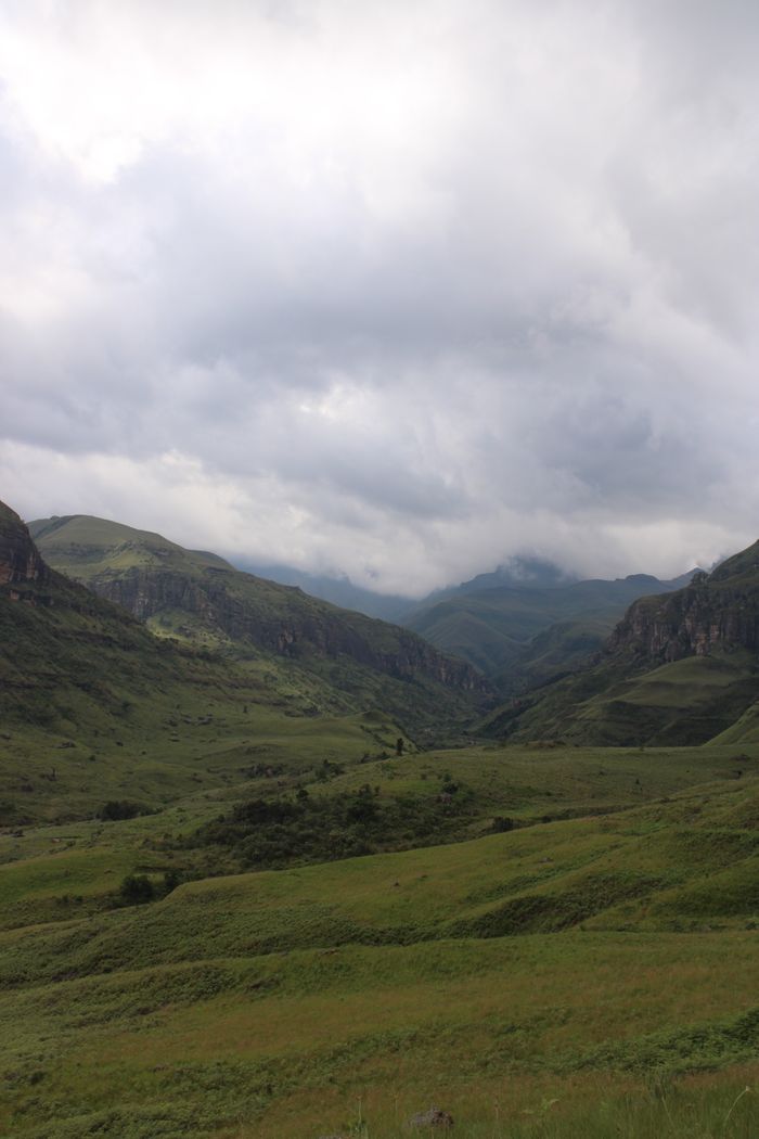 Deep in the Valleys: Discovering the Eco-Cabins of Chimanimani A serene view of green mountains shrouded in mist, perfect for nature enthusiasts.