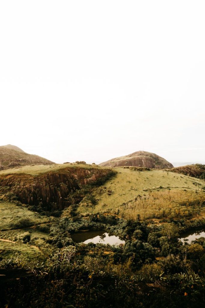 The Ultimate 48-Hour Weekend Guide to the Vumba Mist Forests.
